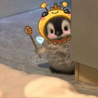 suara asli - k