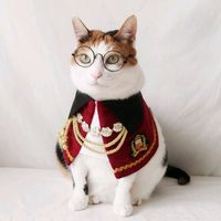 pawzeemumeow