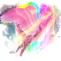 novaes.magical.friends