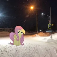 original sound - tecitodehierbaluisa