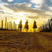 original sound - play38794