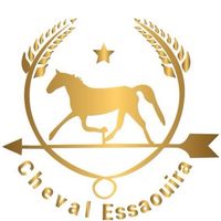 cheval_essaouira