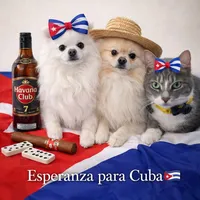 original sound - pets_adorables