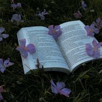 .the.cursed.bookworm444