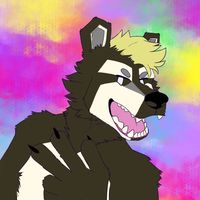 sopero_raccoon