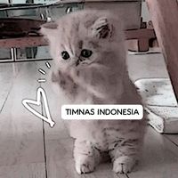 suara asli - fatqeel