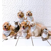 original sound - sexteto4patas