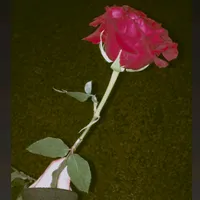 original sound - _mahaistics_