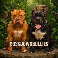 bussdownbullies