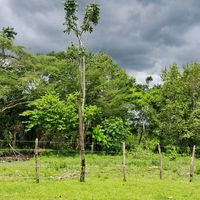 danielpereiradematos0