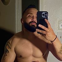 elanimal241