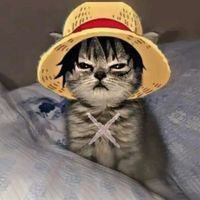 onepiece12xd