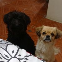 sandriz_0407