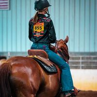 lacys.horse..spam