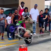 biggiesmalls_minibikes