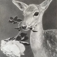 original sound - silokilledthis