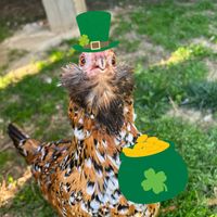 thefabflock