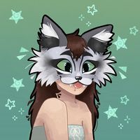 kitticcoon