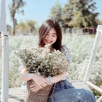 pnk_pv2