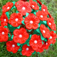 francisca8396