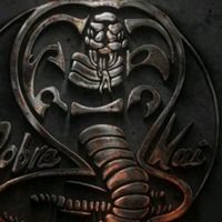 cobrakai0110
