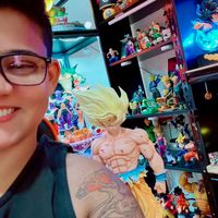 dbzfannini