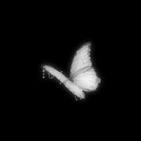 nhạc nền - mow.byshin