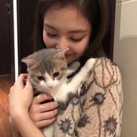dream_blink