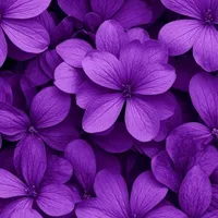 original sound - nkasara