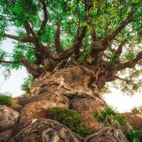 vivendoeaprendendo931