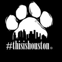 this.is.houston