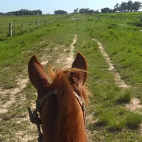 original sound - 123status1