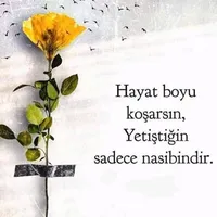 original sound - dolunay_07_42