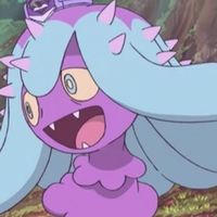 pillow.pet.enthusiast