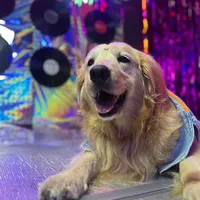 original sound - celeste_madrigal_dog