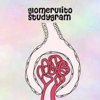 glomerulito