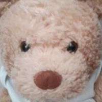 teddy_538