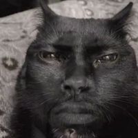 frank.drop.the.albumm_