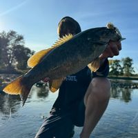 fish_catch_n_release