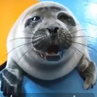 soupysealer