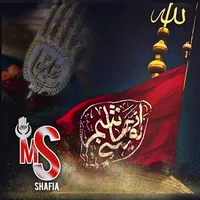 original sound - shafia_05