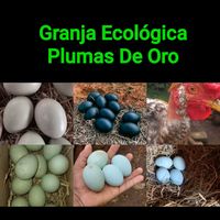 granja.plumas.de