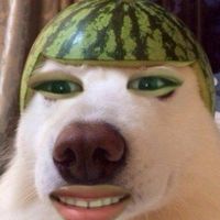 เสียงต้นฉบับ - dy1p79yt4smp