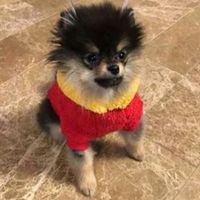 la_carita_de_yeontan