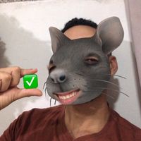 ratodogreen