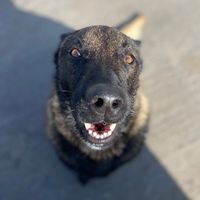 kayzer_malinoiss