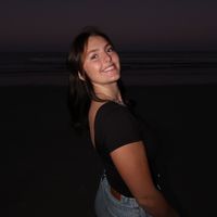 dannischmidt_