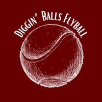digginballsflyball