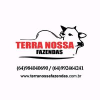 terranossafazendas