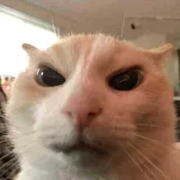 вы че все гии чтоль